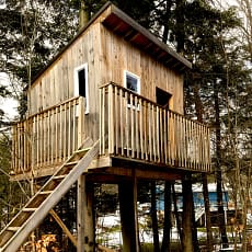 Petite cabane dans les arbres avec escalier de meunier
