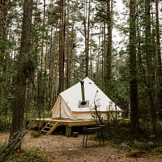 Un tente au cœur de la forêt